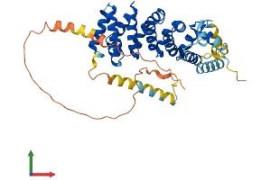 AlphaFold protein structure predicition of Mouse Recombinant Armcx3 Protein, UniprotID Q8BHS6 (ARMCX3 Protein (AA 1-379) (His tag))