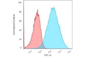 Flow Cytometric Analysis of trypsinized-MCF-7 cells. (Recombinant EpCAM 抗体  (N-Term))