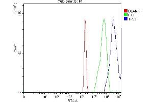 Flow Cytometry analysis of A431 cells using anti-TP53 antibody (ABIN7599050). (p53 抗体  (AA 1-186))