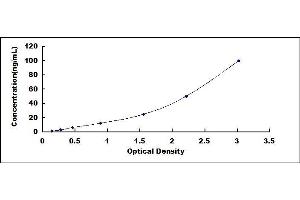 Typical standard curve (RNASE7 ELISA 试剂盒)