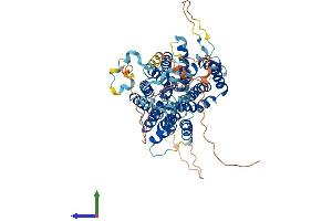AlphaFold protein structure predicition of Human Recombinant SLC23A3 Protein, UniprotID Q6PIS1