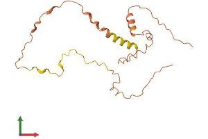 AlphaFold protein structure predicition of Human Recombinant LINC01356 Protein, UniprotID Q8N9X3