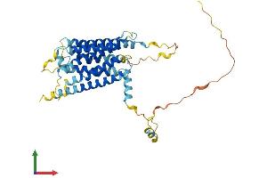 AlphaFold protein structure predicition of Human Recombinant GPR62 Protein, UniprotID Q9BZJ7