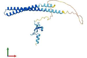 AlphaFold protein structure predicition of Human Recombinant ING5 Protein, UniprotID Q8WYH8