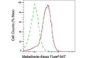 anti-Metadherin (MTDH) antibody