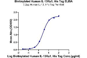 ELISA image for Interleukin 13 Receptor, alpha 1 (IL13RA1) (AA 27-343) protein (His-Avi Tag,Biotin) (ABIN7275038)