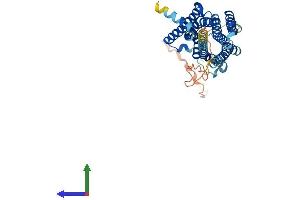 Protein Structure (PS) image for Serotonin Receptor 1B (HTR1B) (AA 1-390) protein (His tag) (ABIN7551886)