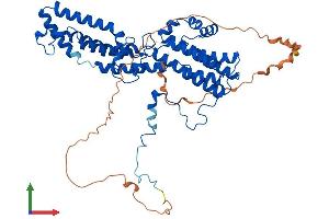 Protein Structure (PS) image for Bestrophin 2 (BEST2) (AA 1-508) protein (His tag) (ABIN7558566)