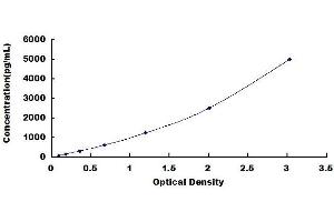 Typical standard curve (Bcl-2 ELISA 试剂盒)