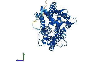 AlphaFold protein structure predicition of Human Recombinant TM7SF2 Protein, UniprotID O76062