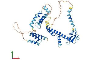 Protein Structure (PS) image for DnaJ (Hsp40) Homolog, Subfamily B, Member 12 (DNAJB12) (AA 1-376) protein (His tag) (ABIN7561791)