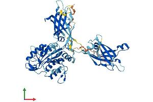 AlphaFold protein structure predicition of Human Recombinant CPNE6 Protein, UniprotID O95741