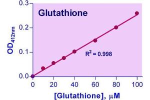 Biochemical Assay (BCA) image for Glutathione Assay Kit (ABIN1000264)