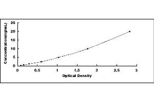 Typical standard curve (CYP2C19 ELISA 试剂盒)