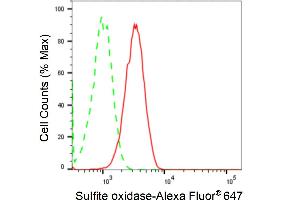 Flow cytometric analysis of Sulfite oxidase expression in HT- cells using Sulfite oxidase antibody (ABIN7800456), 1:2,000). (Recombinant SUOX 抗体)