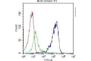 Flow Cytometry analysis of PBMC cells using anti-TAPA1 antibody . (CD81 抗体  (AA 113-201))