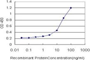 Detection limit for recombinant GST tagged ANXA3 is approximately 1ng/ml as a capture antibody. (Annexin A3 抗体  (AA 1-323))