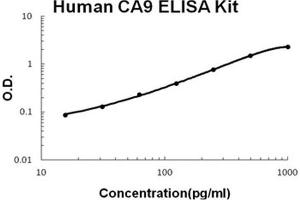 Human CA9 PicoKine ELISA Kit standard curve (CA9 ELISA 试剂盒)
