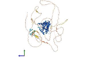 AlphaFold protein structure predicition of Human Recombinant TAGAP Protein, UniprotID Q8N103