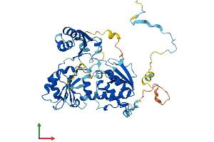 AlphaFold protein structure predicition of Human Recombinant DPH2 Protein, UniprotID Q9BQC3