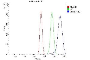 Flow Cytometry analysis of U251 cells using anti-HP1 alpha/CBX5 antibody (ABIN7599057).