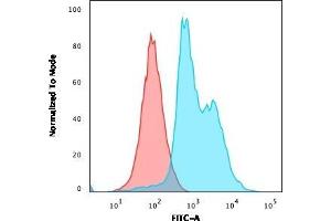 Flow Cytometric Analysis of Jurkat cells using CD40L-Monospecific Mouse Monoclonal Antibody (CD40LG/2761) followed by Goat anti-Mouse IgG-CF488 (Blue); Isotype Control (Red).