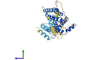 Protein Structure (PS) image for Rhomboid Domain Containing 1 (RHBDD1) (AA 1-315) protein (His tag) (ABIN7555172)