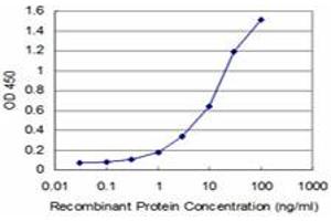 ELISA image for anti-Angiotensinogen (serpin Peptidase Inhibitor, Clade A, Member 8) (AGT) (AA 376-485) antibody (ABIN559812)
