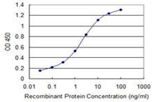 Detection limit for recombinant GST tagged FXC1 is 0. (TIMM10B 抗体  (AA 11-103))