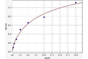 Chromosome 19 Open Reading Frame 80 (C19ORF80) ELISA Kit