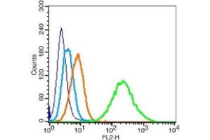 293T cells probed with PARK7 Polyclonal Antibody, Unconjugated  at 1:100 for 30 minutes followed by incubation with a conjugated secondary (PE Conjugated) (green) for 30 minutes compared to control cells (blue), secondary only (light blue) and isotype control (orange).