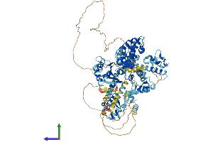 AlphaFold protein structure predicition of Human Recombinant GTF2IRD2 Protein, UniprotID Q86UP8