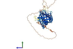 Protein Structure (PS) image for RAD9 Homolog B (RAD9B) (AA 1-403) protein (His tag) (ABIN7558124)