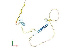 Protein Structure (PS) image for Kinesin Associated Protein 3 (KIFAP3) (AA 1-181) protein (His tag) (ABIN7556197)