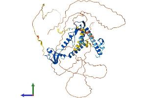 Protein Structure (PS) image for Cysteine-Serine-Rich Nuclear Protein 3 (CSRNP3) (AA 1-585) protein (His tag) (ABIN7546808)