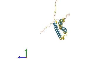 Protein Structure (PS) image for Ninjurin 1 (NINJ1) (AA 1-152) protein (His tag) (ABIN7562505)