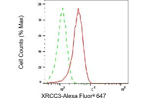 Flow cytometric analysis of XRCC3 expression in HeLa cells using XRCC3 antibody (ABIN7800876), 1:2,000).