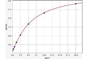 Typical standard curve (HMGB3 ELISA 试剂盒)