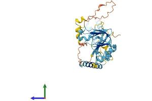 AlphaFold protein structure predicition of Human Recombinant C6orf89 Protein, UniprotID Q6UWU4 (C6orf89 Protein (AA 1-347) (His tag))