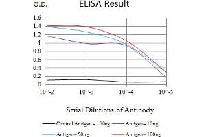Black line: Control Antigen (100 ng),Purple line: Antigen (10 ng), Blue line: Antigen (50 ng), Red line:Antigen (100 ng) (RBBP7 抗体  (AA 1-200))