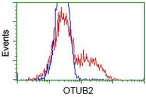 HEK293T cells transfected with either RC209650 overexpress plasmid (Red) or empty vector control plasmid (Blue) were immunostained by anti-OTUB2 antibody (ABIN2453407), and then analyzed by flow cytometry. (OTUB2 抗体)