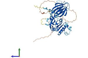 Protein Structure (PS) image for NAD Kinase (NADK) (AA 1-446) protein (His tag) (ABIN7549645)
