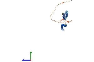 Protein Structure (PS) image for Beaded Filament Structural Protein 2, Phakinin (BFSP2) (AA 1-415) protein (His tag) (ABIN7552618)