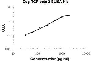 Dog TGF-beta 2 PicoKine ELISA Kit standard curve (TGFB2 ELISA 试剂盒)