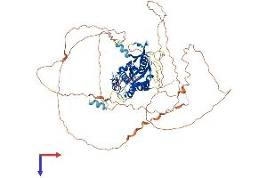 AlphaFold protein structure predicition of Human Recombinant ERI2 Protein, UniprotID A8K979