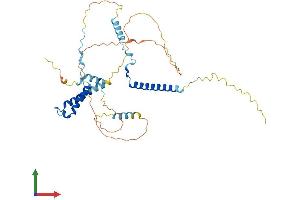 Protein Structure (PS) image for Glutamate Receptor, Ionotropic, N-Methyl D-Aspartate-Like 1A (GRINL1A) (AA 1-366) protein (His tag) (ABIN7558002)
