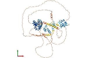 Protein Structure (PS) image for SP110 Nuclear Body Protein (SP110) (AA 1-689) protein (His tag) (ABIN7546262)