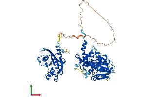 Protein Structure (PS) image for acetylserotonin O-Methyltransferase-Like (ASMTL) (AA 1-621) protein (His tag) (ABIN7552474)