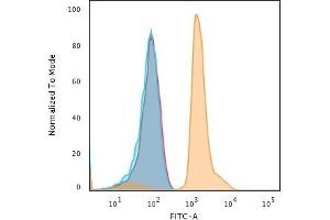 Flow Cytometric Analysis of human Jurkat cells using PD-L1 Mouse Monoclonal Antibody (PDL1/2743) followed by Goat anti-Mouse IgG-CF488 (Orange); cells alone (Blue); Isotype Control (Red). (PD-L1 抗体  (AA 39-191))