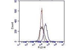Flow Cytometry (FACS) image for anti-Integrin alpha V (ITGAV) antibody (FITC) (ABIN1106450) (CD51 抗体  (FITC))